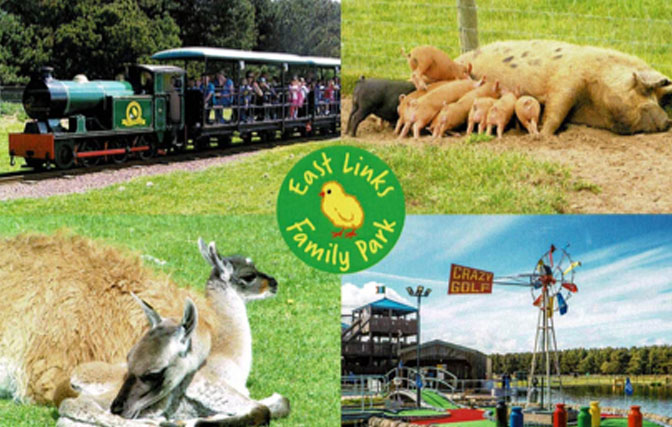 East Links Family Park Things To Do In Our Dunbar